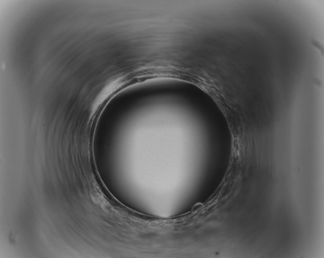 X0000099540004200805231138