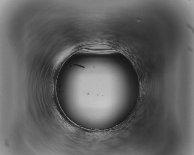 X0000099540005200805231138