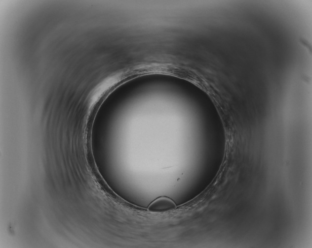 X0000099540006200805231138