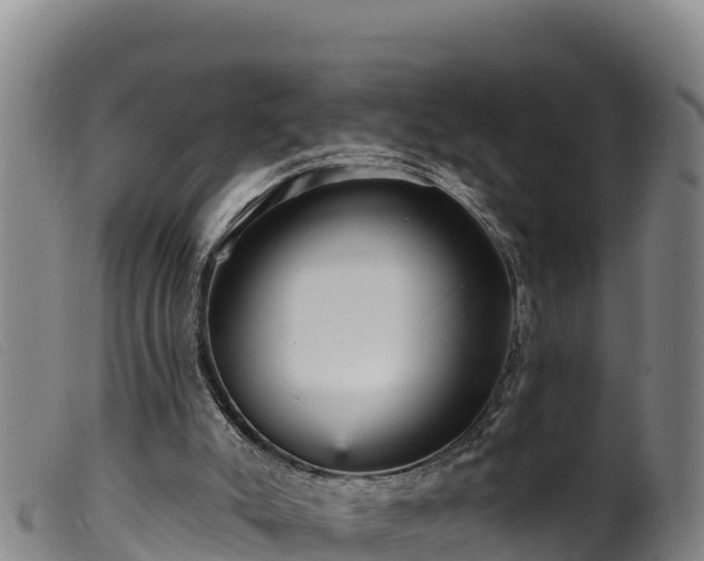 X0000099540007200805231138