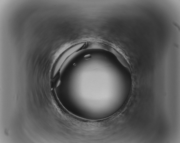 X0000099540008200805231138