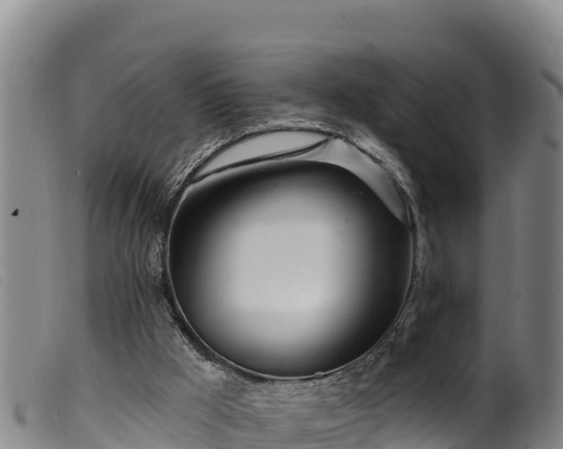 X0000099540009200805231138