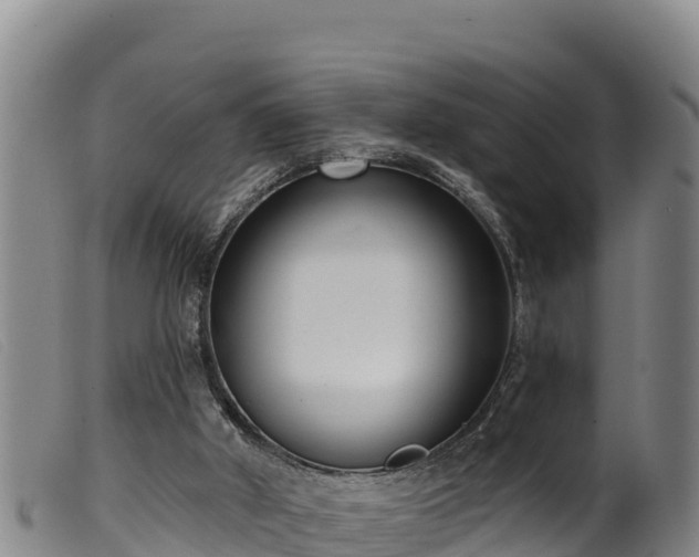 X0000099540010200805231138