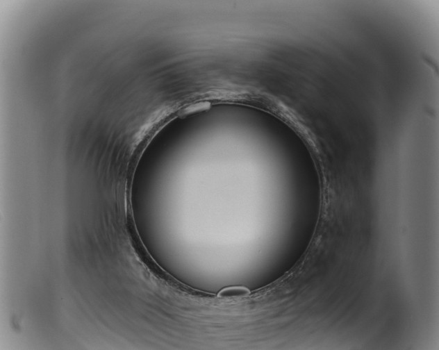 X0000099540011200805231138