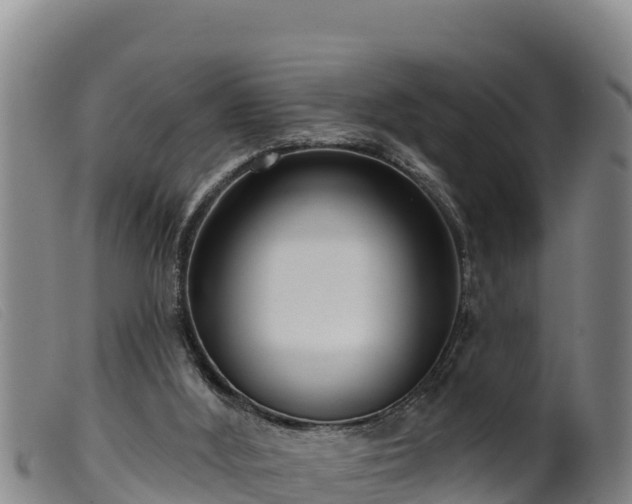 X0000099540012200805231138