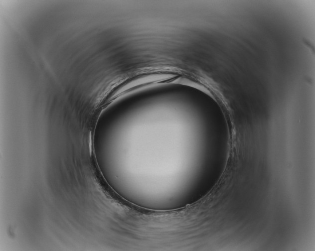 X0000099540013200805231138