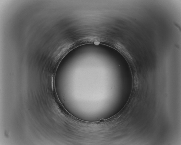 X0000099540014200805231138