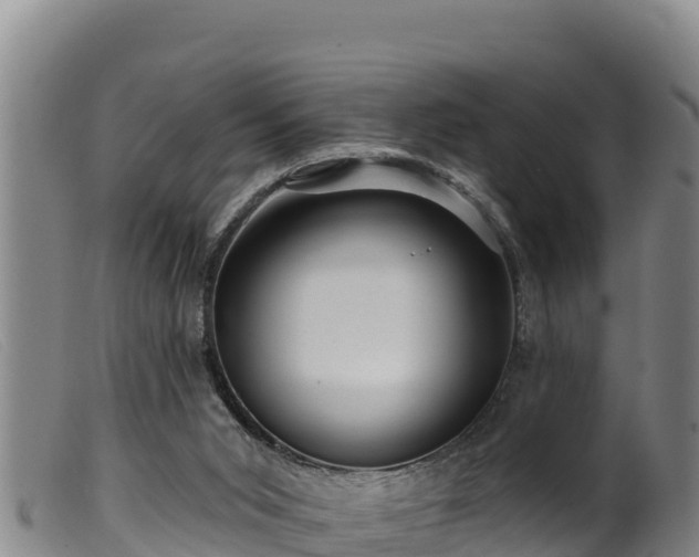 X0000099540015200805231138