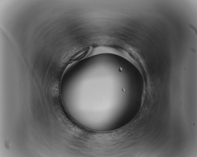 X0000099540017200805231138