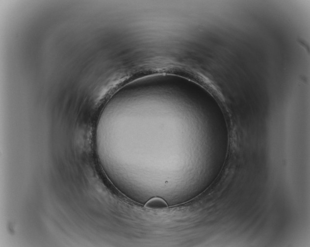 X0000099540018200805231138