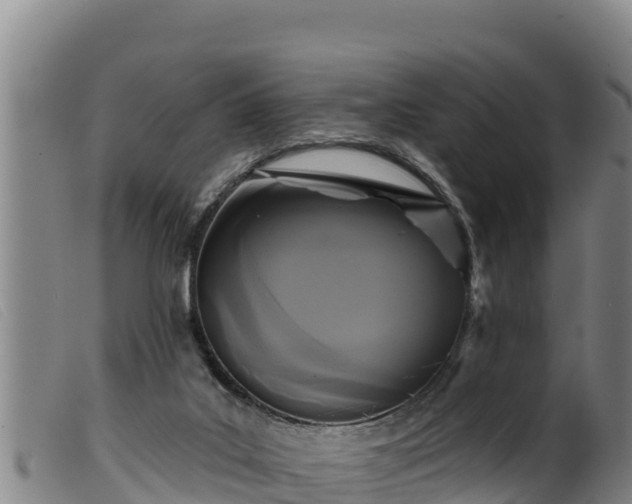 X0000099540019200805231138