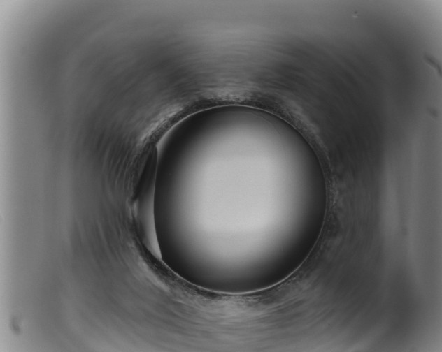 X0000099540020200805231138