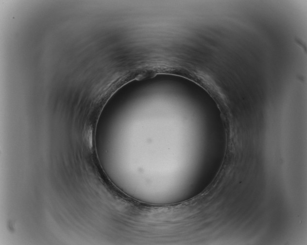 X0000099540021200805231138