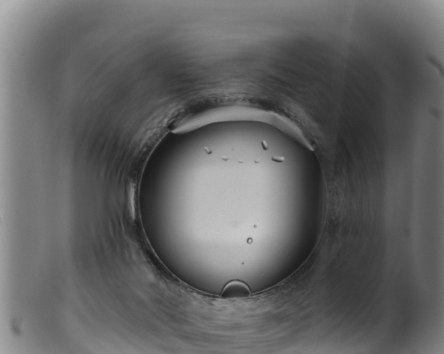 X0000099540022200805231138