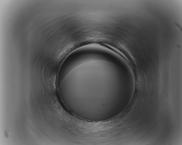 X0000099540023200805231138