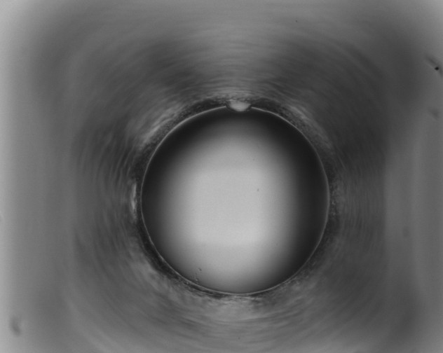 X0000099540024200805231138