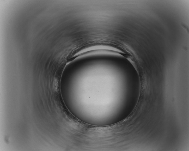 X0000099540025200805231138