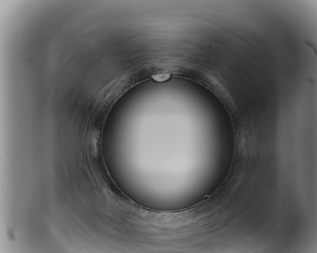 X0000099540026200805231138