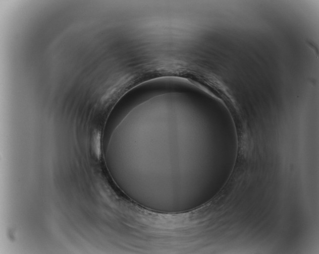 X0000099540027200805231138