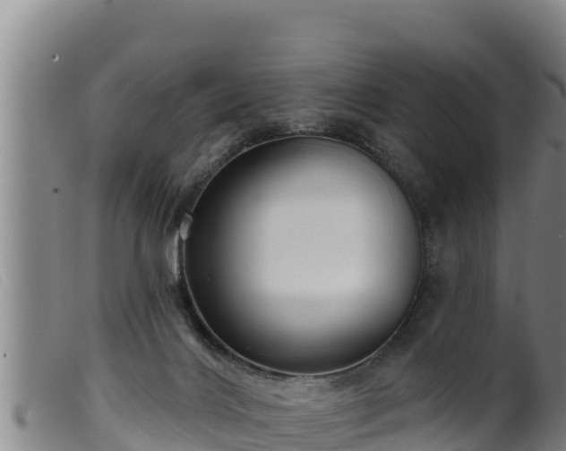 X0000099540028200805231138