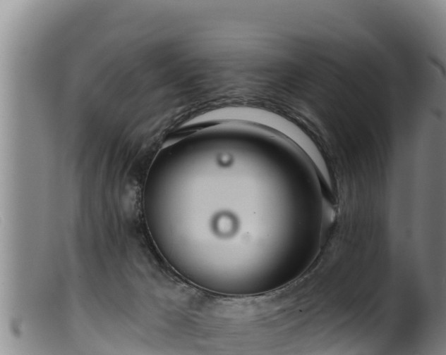 X0000099540029200805231138