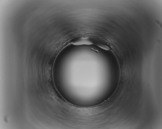 X0000099540030200805231138