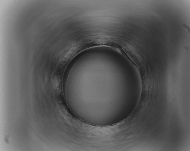 X0000099540031200805231138