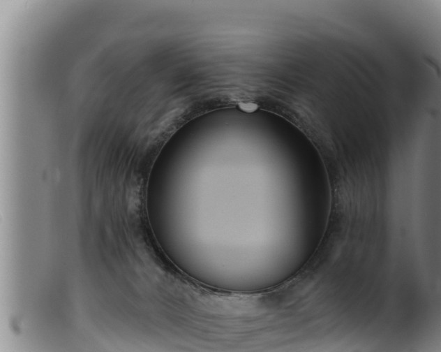 X0000099540032200805231138