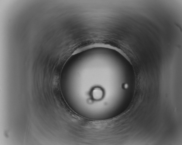 X0000099540033200805231138