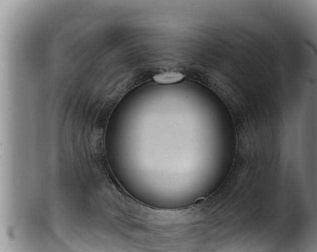 X0000099540034200805231138