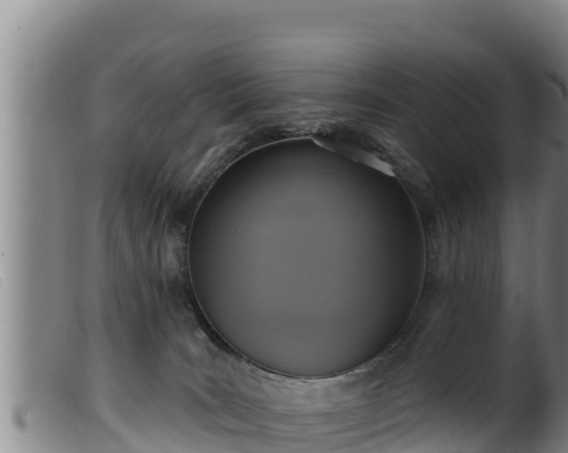 X0000099540035200805231138