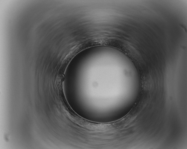 X0000099540036200805231138