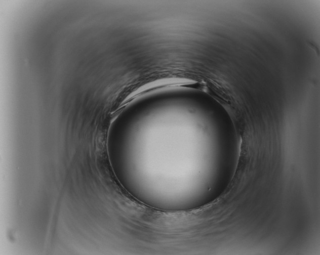 X0000099540037200805231138