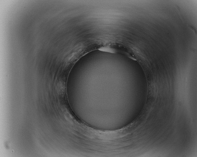 X0000099540039200805231137