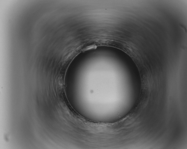 X0000099540040200805231137