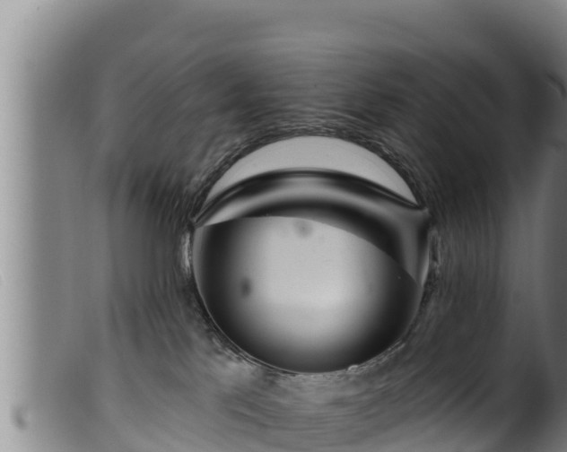 X0000099540041200805231137