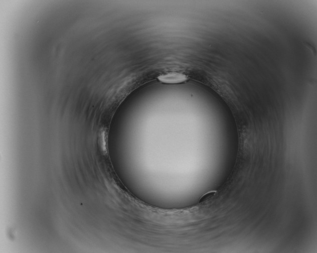 X0000099540042200805231137