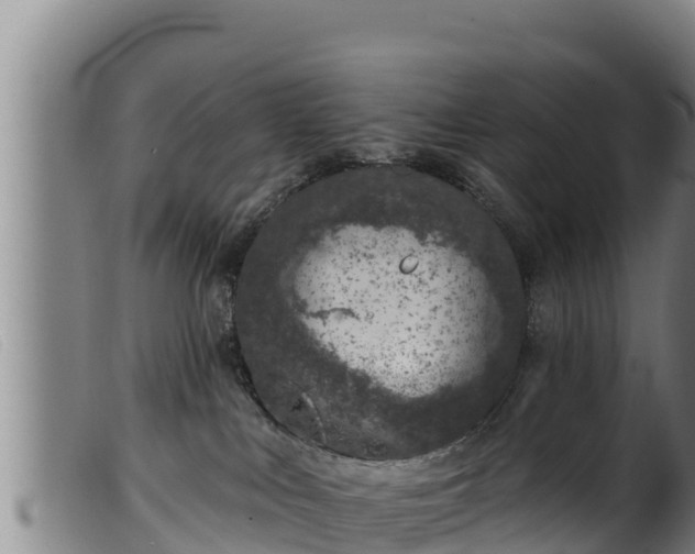 X0000099540043200805231137