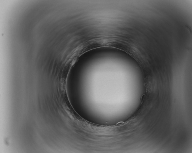 X0000099540044200805231137