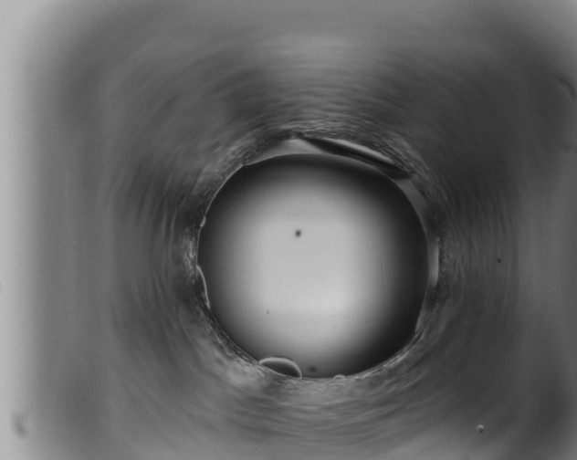 X0000099540045200805231137