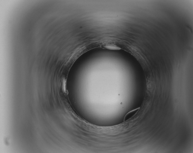 X0000099540046200805231137