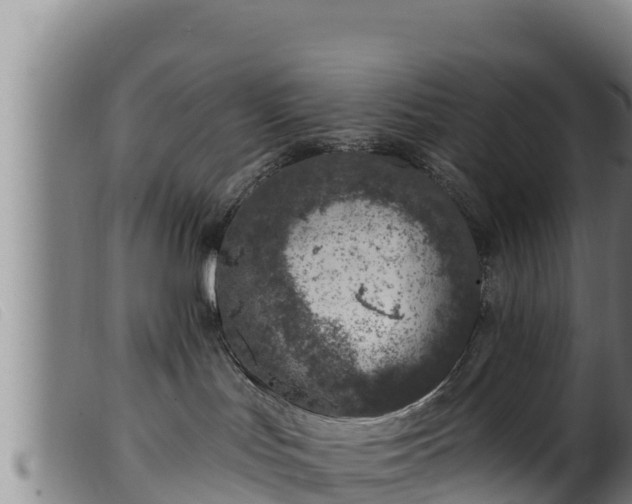 X0000099540047200805231137