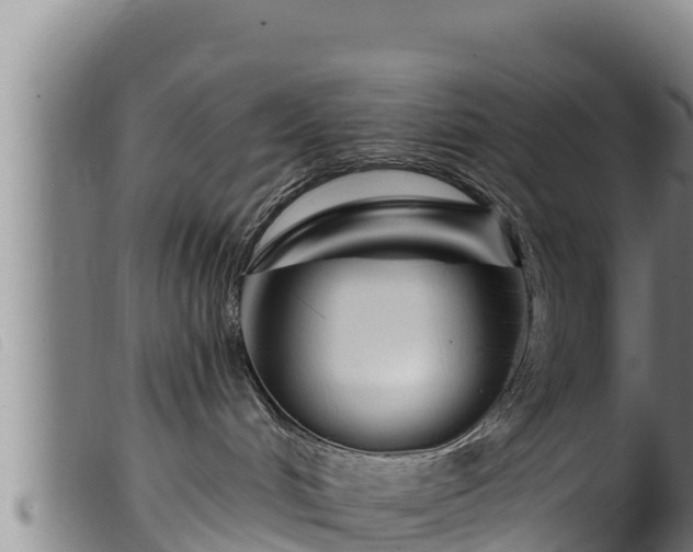 X0000099540048200805231137