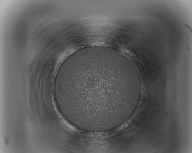 X0000099540049200805231136