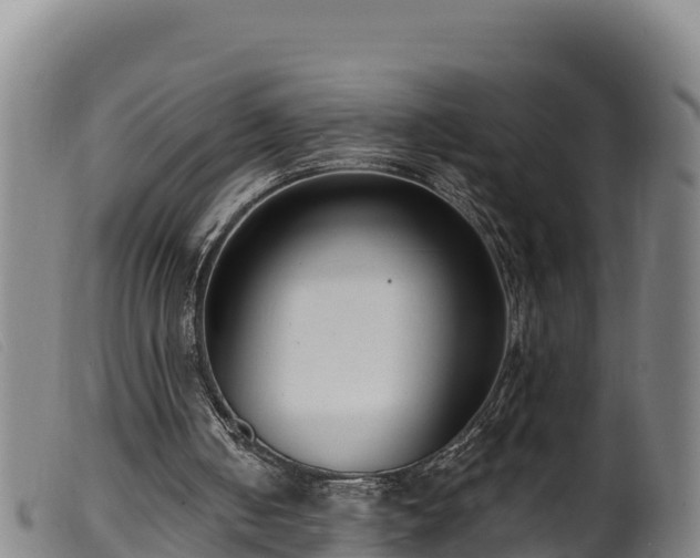 X0000099540050200805231136