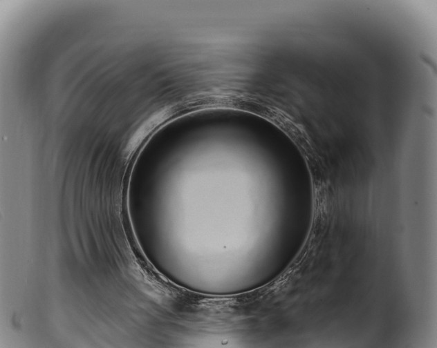 X0000099540051200805231137