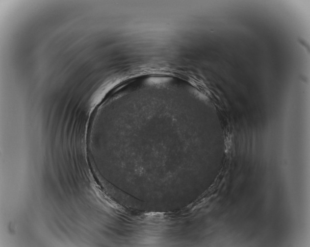 X0000099540052200805231137