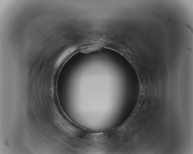 X0000099540054200805231137