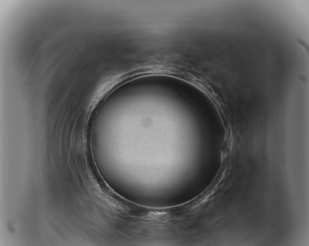 X0000099540055200805231137