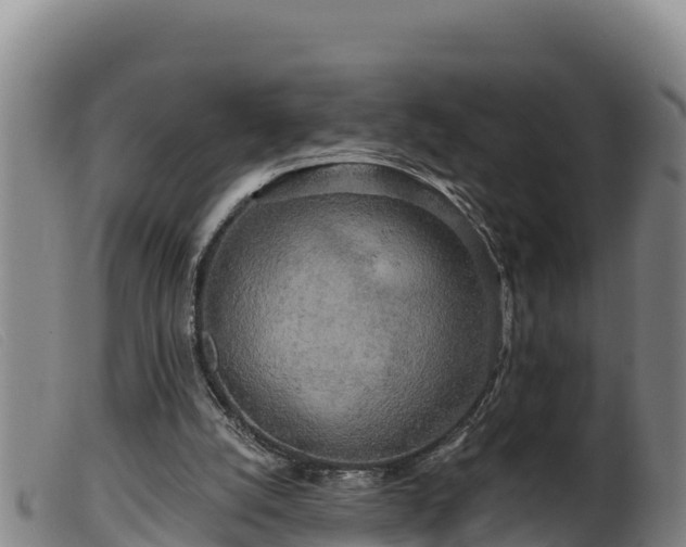 X0000099540056200805231137